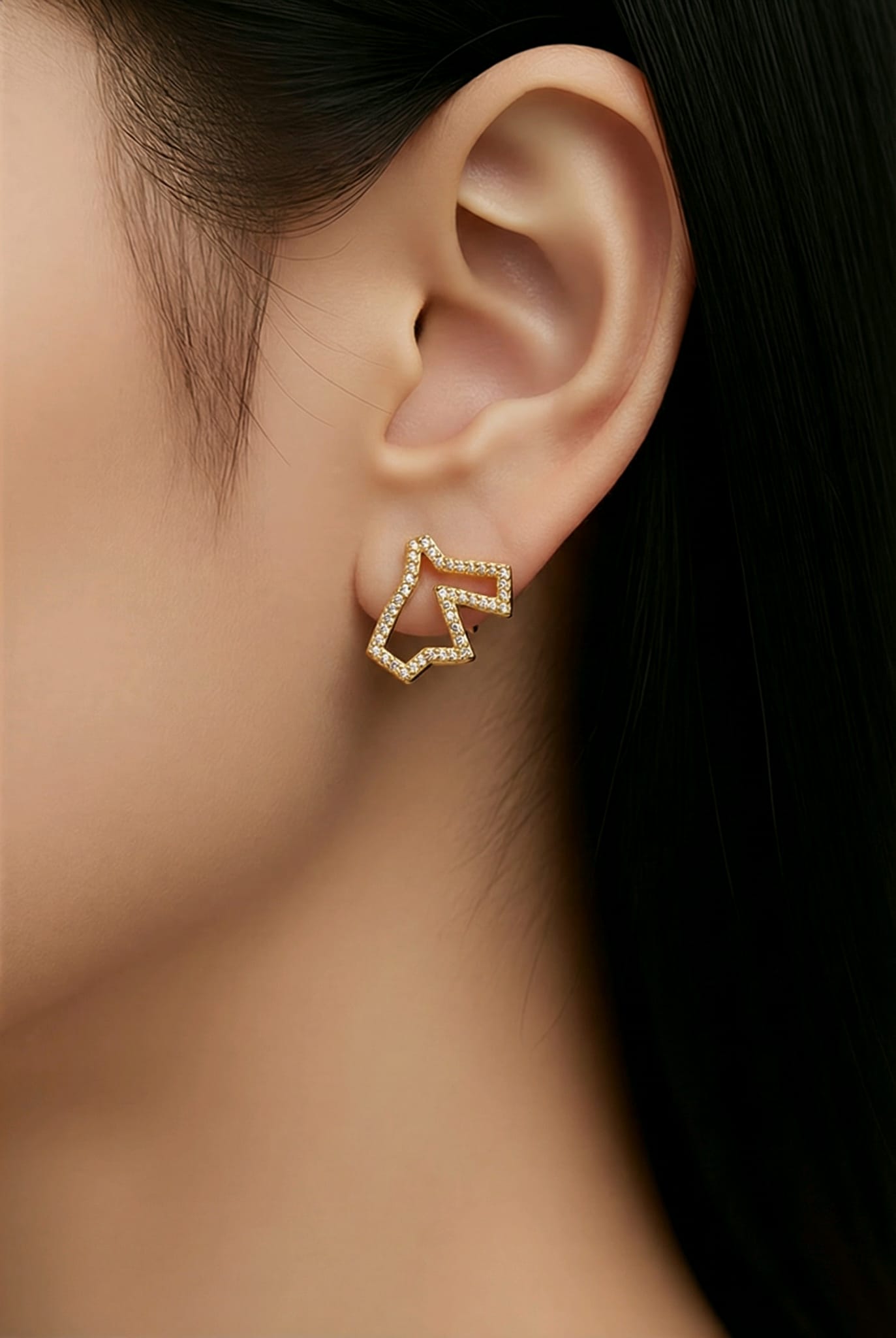 Jordan map earring plated in gold