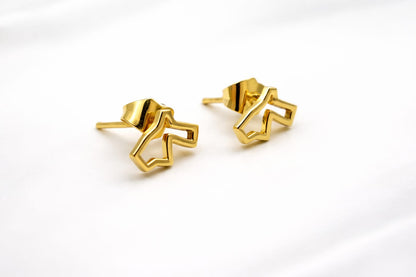 Gold-plated map of Jordan earring